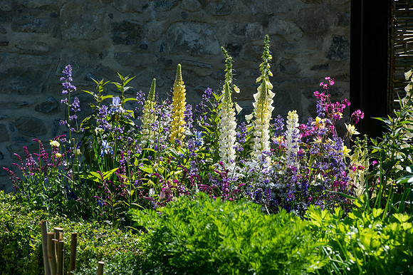 120 Irish Flowers
