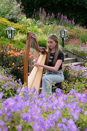 0049 O'Carolan Harp Festival 3rd August