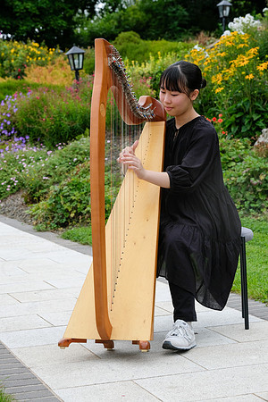 287 O'Carolan Festival Harp Competitions and Tour