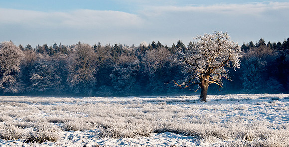 063 Ireland in the snow