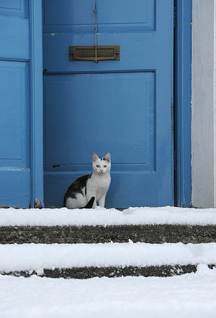 062 Ireland in the snow