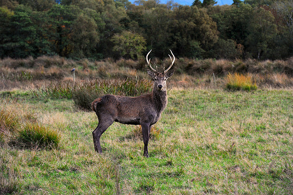 0096 Inspirational Ireland