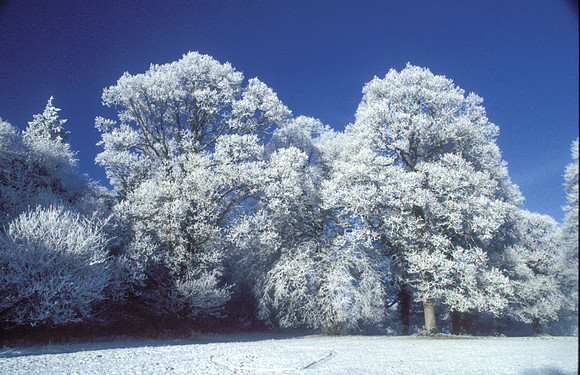 013 Snow David Knight