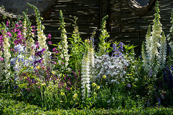118 Irish Flowers
