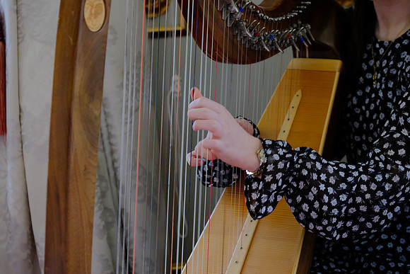 0102 O'Carolan Musicians
