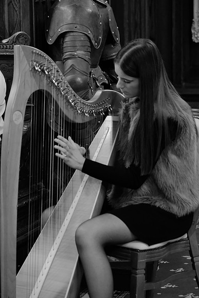 0065 O'Carolan Musicians