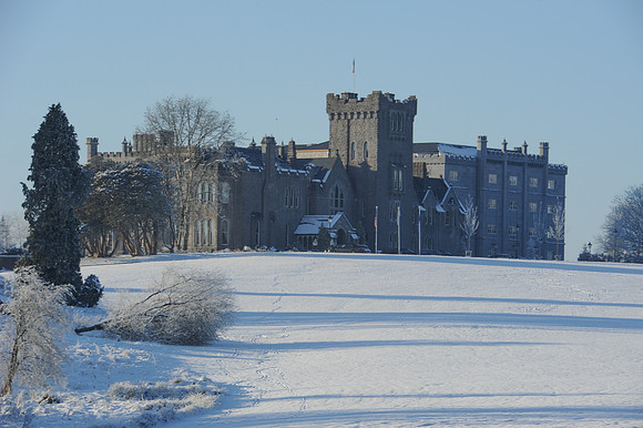 124 Snow David Knight