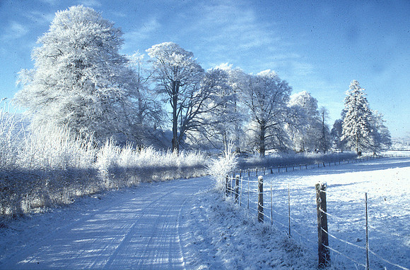 015 Snow David Knight
