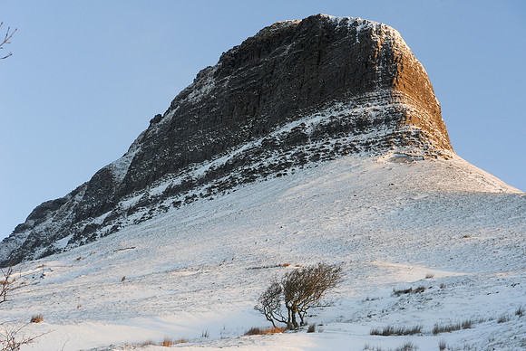 116 Snow David Knight