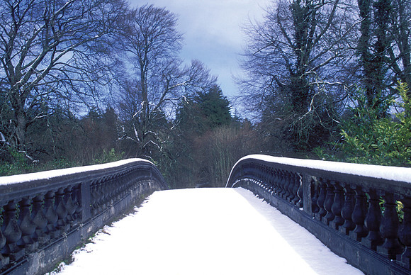 005 Snow David Knight