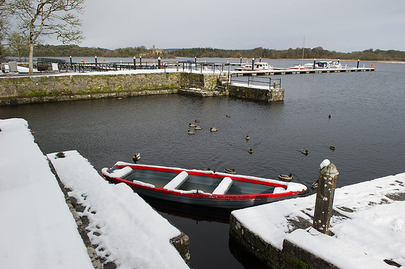 132 Snow David Knight