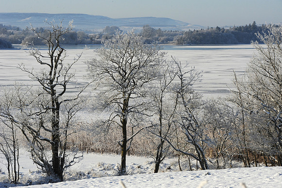 070 Ireland in the snow