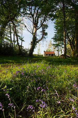 0016 Inspirational Ireland