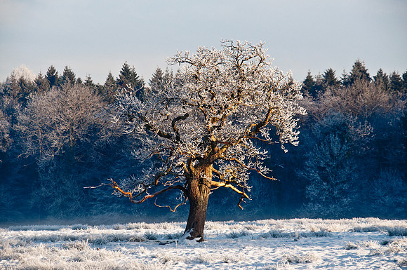 064 Ireland in the snow