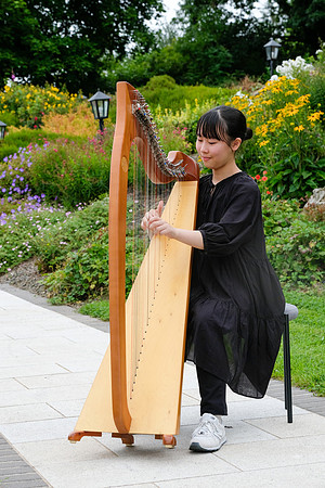 282 O'Carolan Festival Harp Competitions and Tour