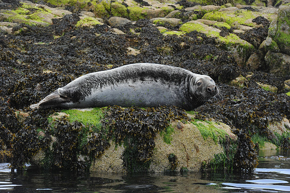 0052 Inspirational Ireland