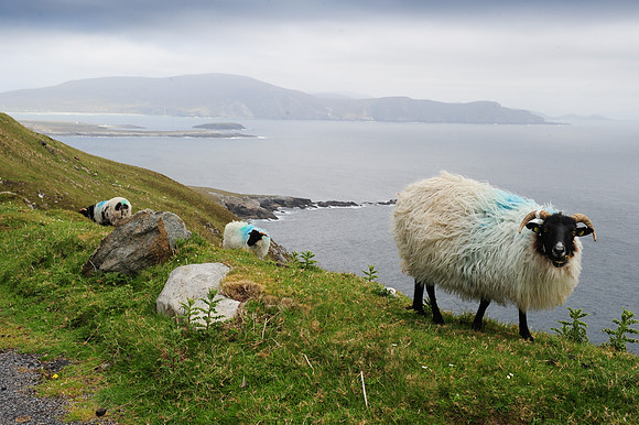 0049 Inspirational Ireland