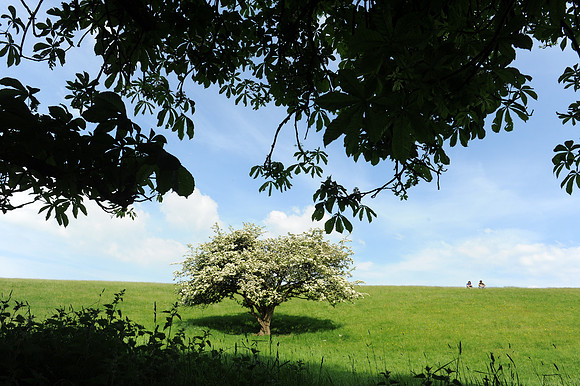 28 Hill of Tara