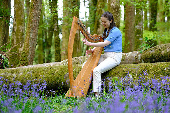 0165 O'Carolan Bluebells 4t May