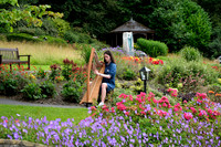 0011 O'Carolan Harp Festival 3rd August