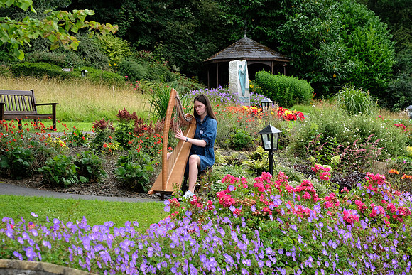 0011 O'Carolan Harp Festival 3rd August