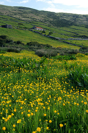 0051 Inspirational Ireland