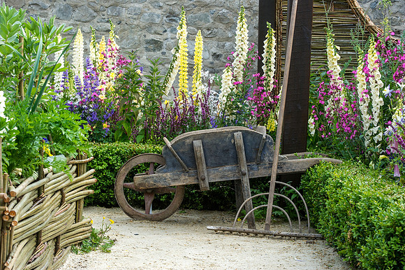 137 Irish Flowers