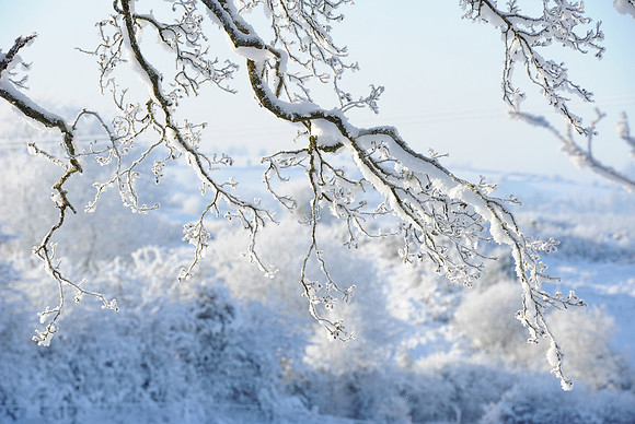 119 Snow David Knight