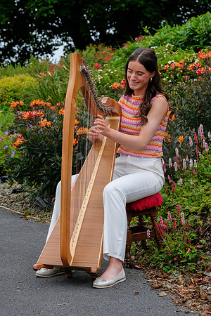 140 O'Carolan Festival Harp Competitions and Tour