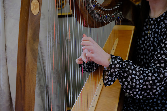 0103 O'Carolan Musicians