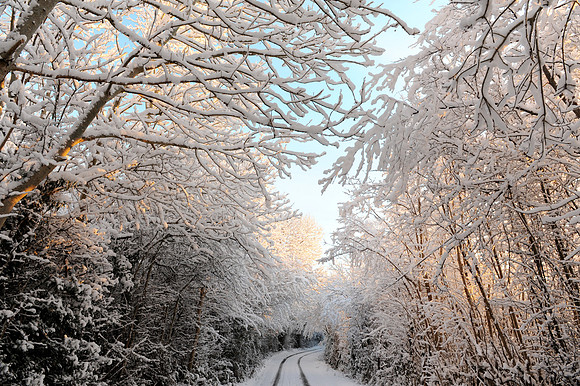 072 Snow David Knight