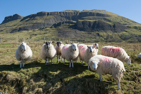 0057 Inspirational Ireland