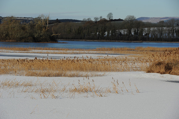 078 Ireland in the snow