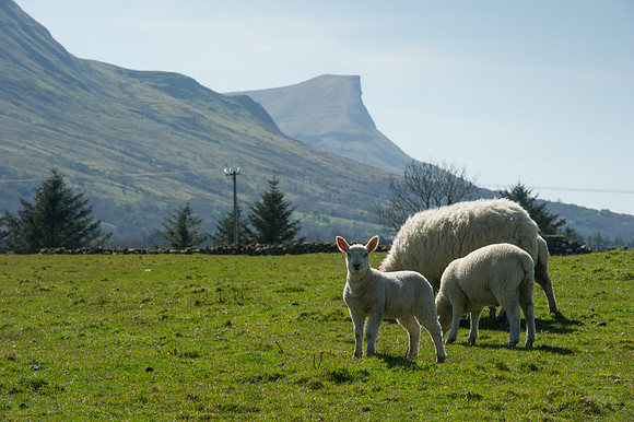 0056 Inspirational Ireland