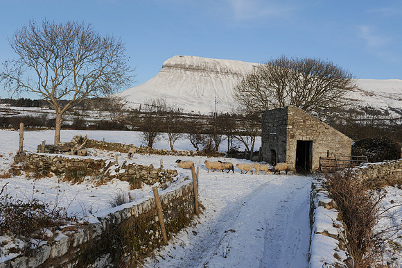 101 Snow David Knight
