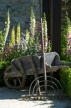 116 Irish Flowers