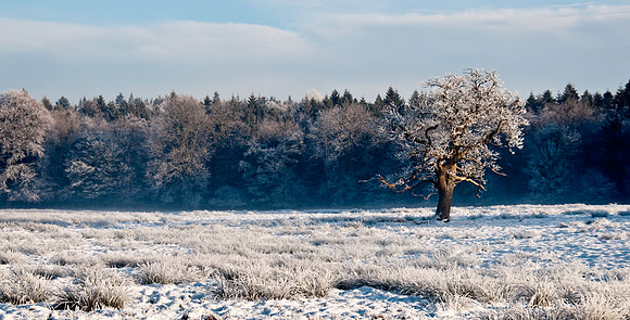 034 Ireland in the snow