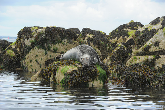 0050 Inspirational Ireland