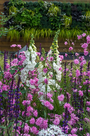 131 Irish Flowers
