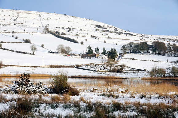 126 Snow David Knight