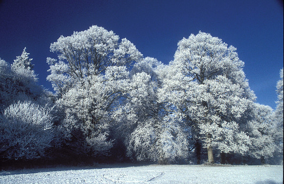 010 Snow David Knight
