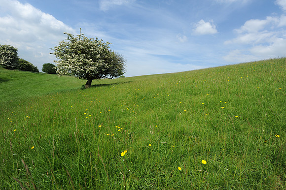 22 Hill of Tara