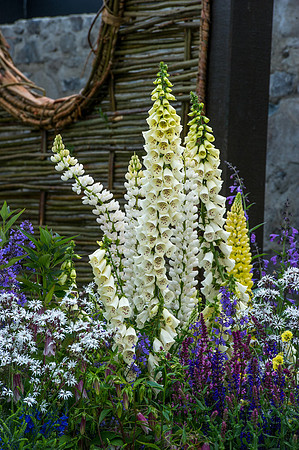 136 Irish Flowers
