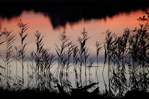 005_David Knight