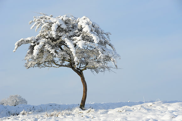 025 Ireland in the snow