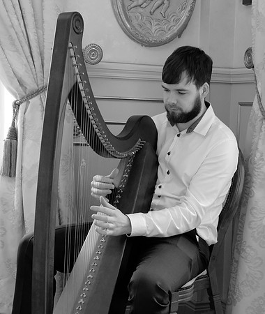 0113 O'Carolan Musicians