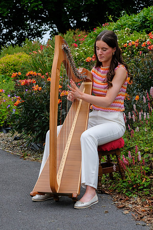 142 O'Carolan Festival Harp Competitions and Tour