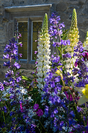 123 Irish Flowers