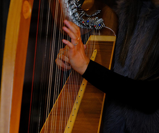 0039 O'Carolan Musicians