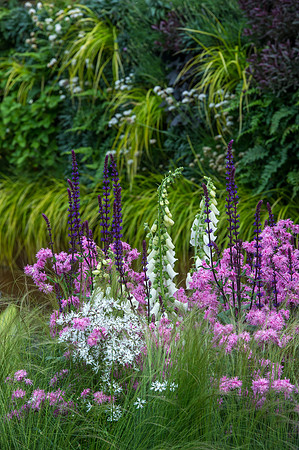 130 Irish Flowers